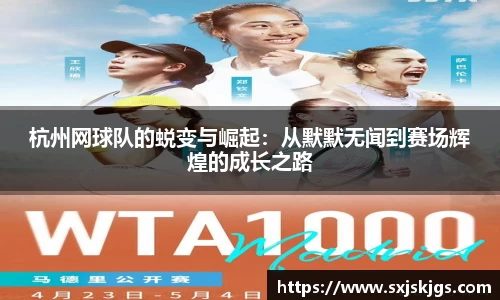 OB体育官网入口