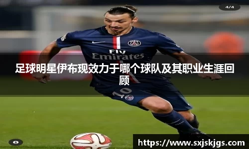 OB体育官网入口